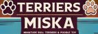 Terriers Miska